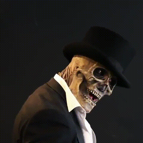 Haunted 3D Halloween Skeleton Mask