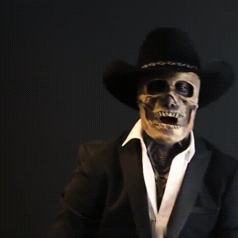 Haunted 3D Halloween Skeleton Mask