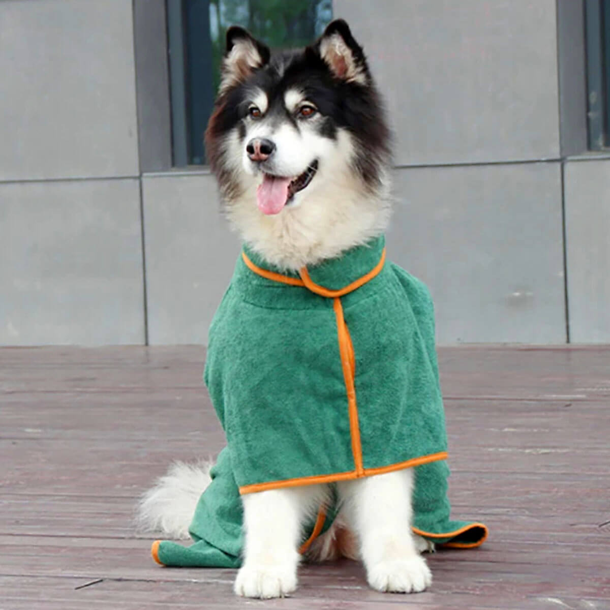 DogCuddleCoat™ | Bademantel für Hunde