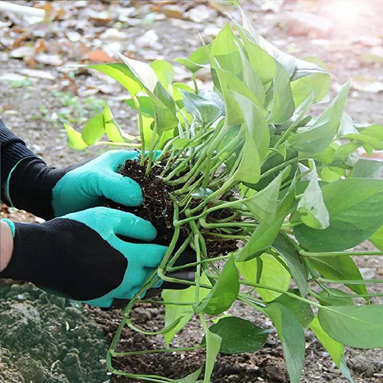 Gartenkralle Handschuhe